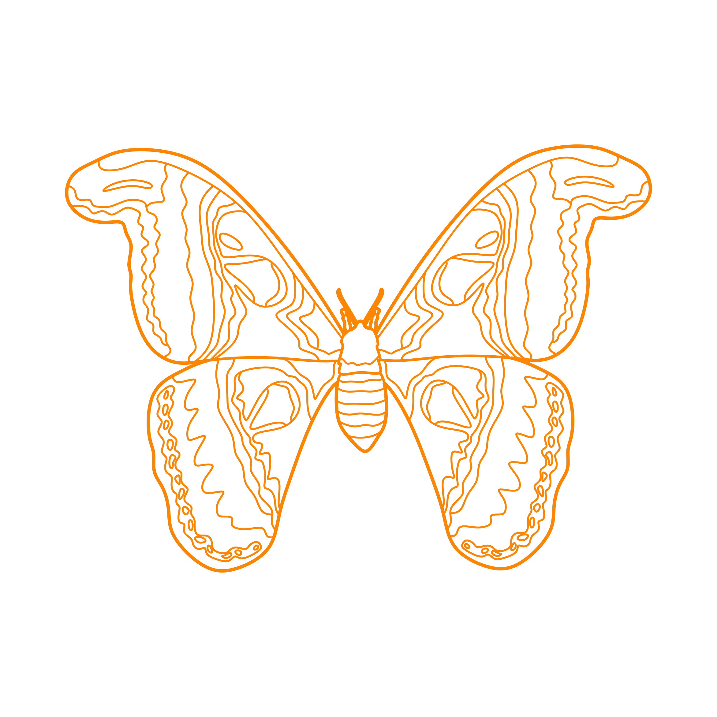 Animals Insects Atlas Moth Svg Line Art Free Vectors